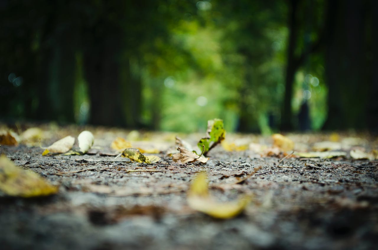 8 Ways to Enhance Photos With Digital Wizardry
