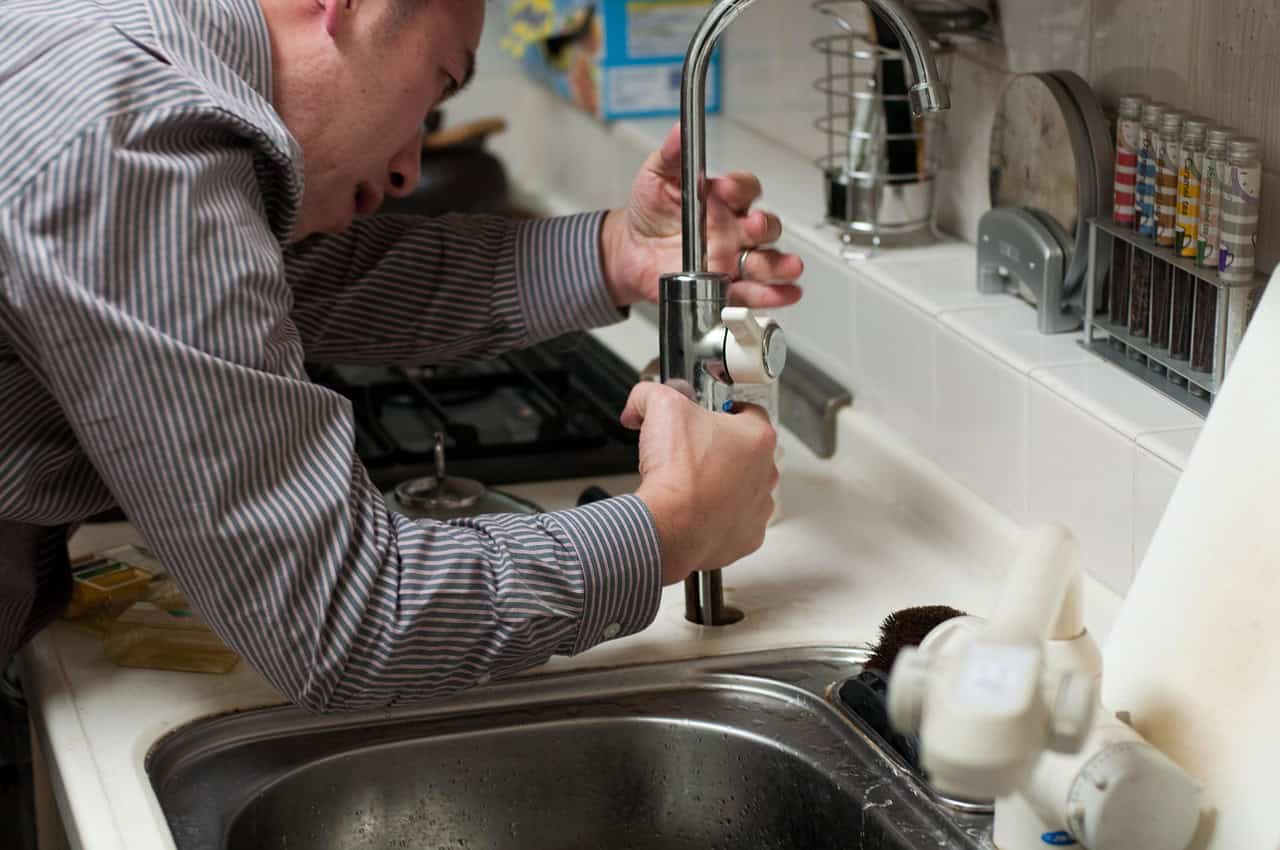 The Role of Professional Plumbers in Home Maintenance
