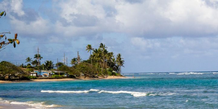 What Kahaluʻu Bay’s Reef Educators Want Every Kona Snorkeler to Know Before Getting In